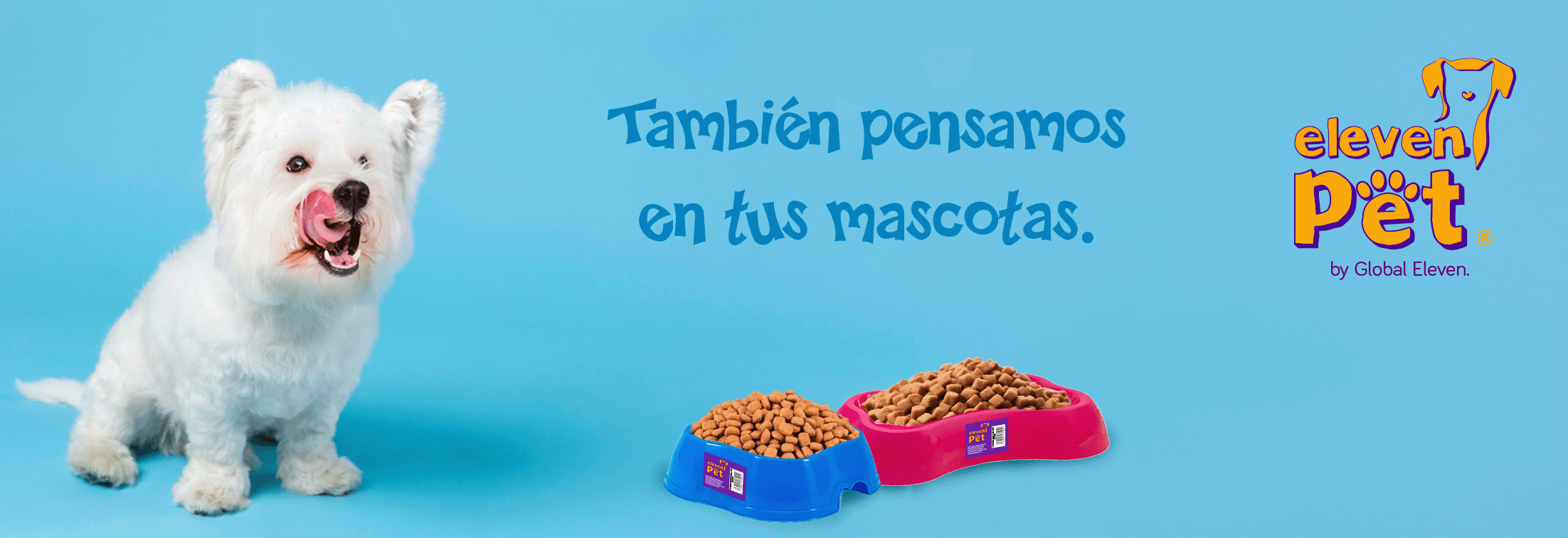 Banner PET